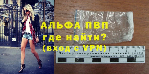 ГАЛЛЮЦИНОГЕННЫЕ ГРИБЫ Новозыбков