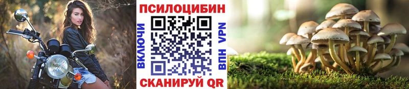 Купить  Анапа  Галлюциногенные грибы Psilocybe 