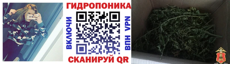 Канабис конопля  Купить  Анапа 